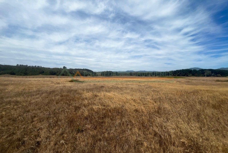 Increíbles Sitios en Sector Arcos de Calán