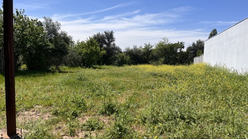 Lote Urbano Calle Membrillar