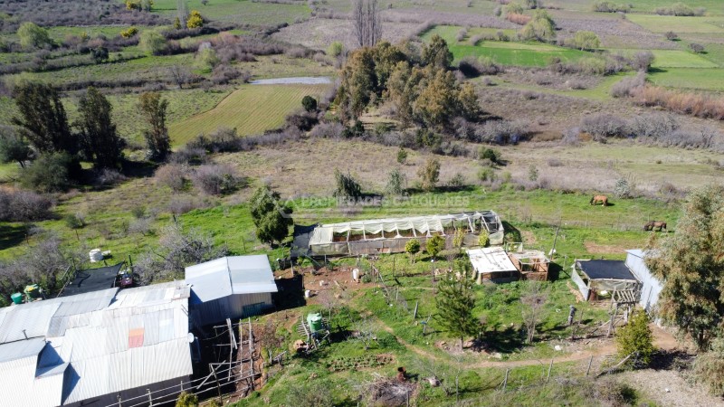 Terreno Agrícola en Coronel de Maule