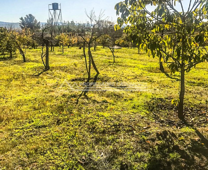 Parcela Agrícola Con Casa y Abundante Agua Sector la Posada