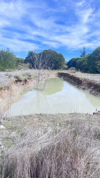 Parcela de 7 Ha Con Casa, Maravilloso Entorno Natural