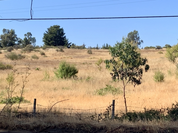 Lote Km 3 Camino Parral