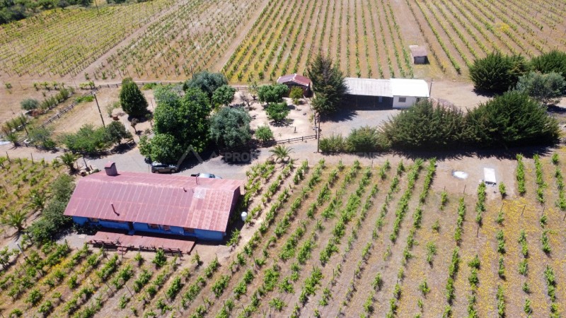 Casa en Arriendo en la Higuera, Cauquenes