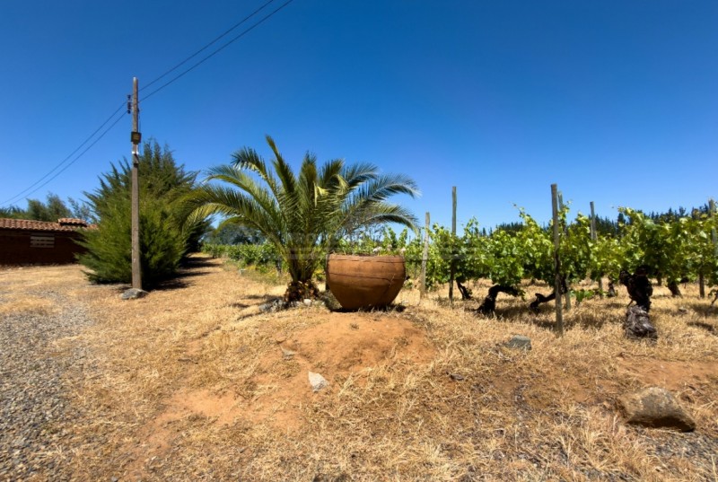 Precioso Campo Con Casa en la Higuera, Cauquenes