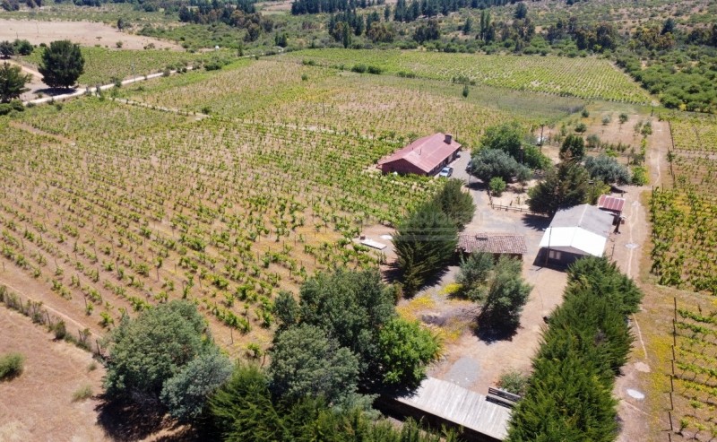 Precioso Campo Con Casa en la Higuera, Cauquenes