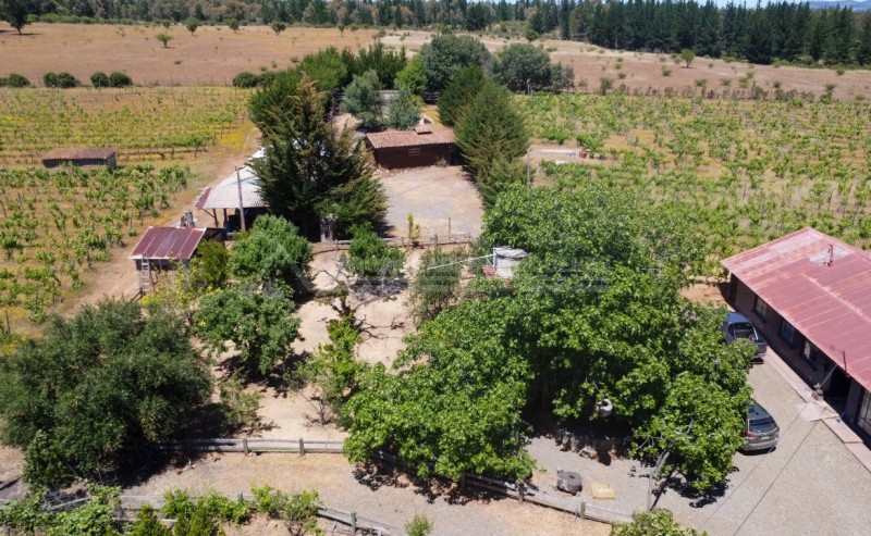 Precioso Campo Con Casa en la Higuera, Cauquenes