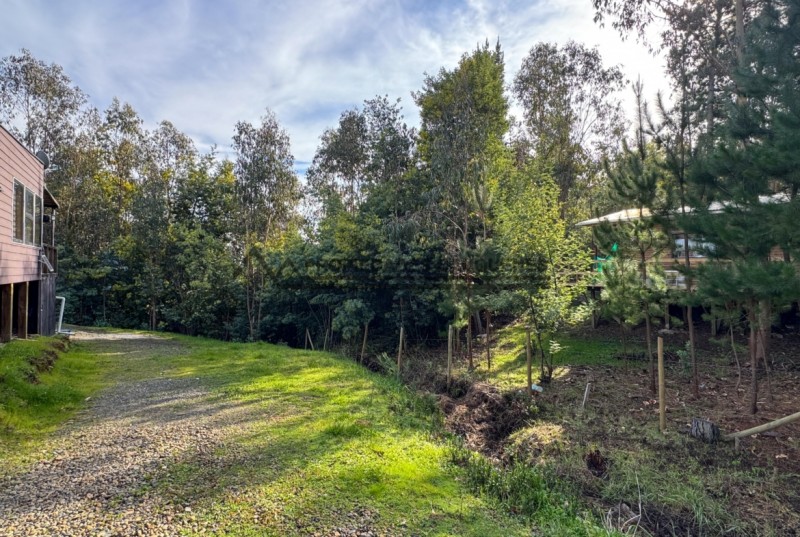 ¡acogedora Casa en Venta Cerca de Pelluhue! 🏡