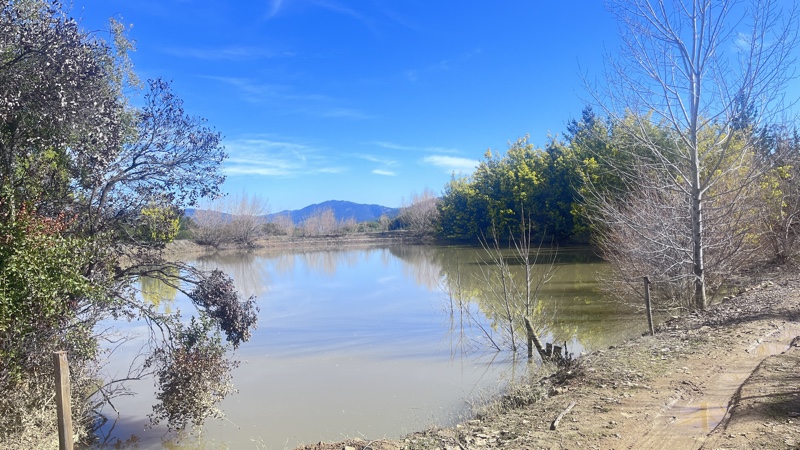 Parcela de 7 Ha Con Casa, Maravilloso Entorno Natural