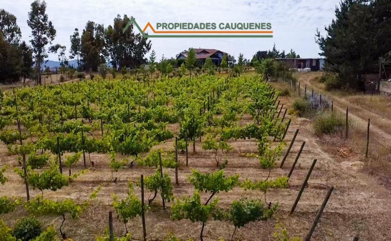 Terreno Cercano A la Ciudad, Sector la Posada