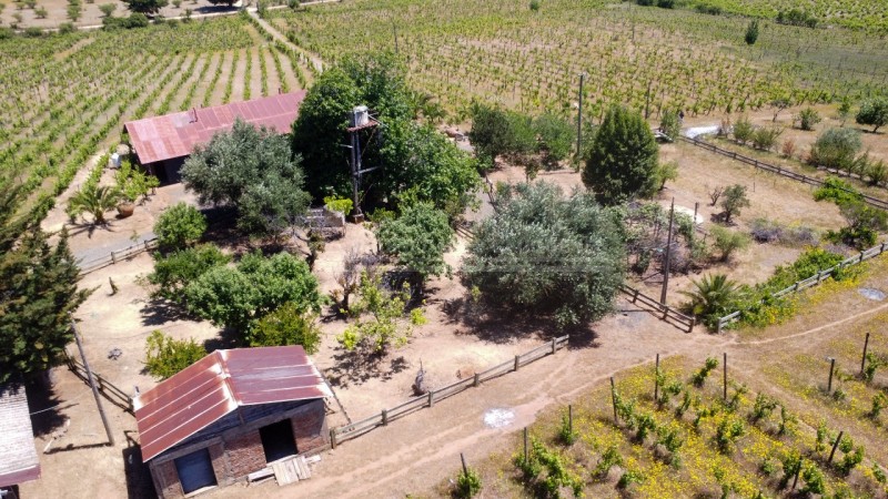 Casa en Arriendo en la Higuera, Cauquenes