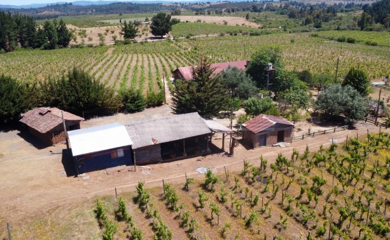 Precioso Campo Con Casa en la Higuera, Cauquenes