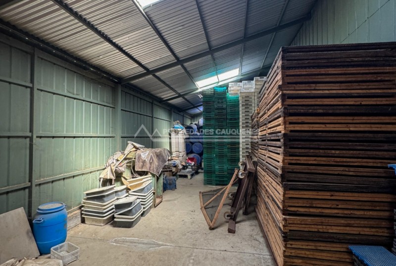Bodega Comercial Con Casa