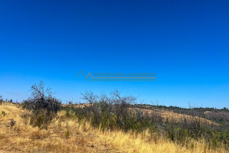 Campo de 36,5 Ha, Camino A Molco