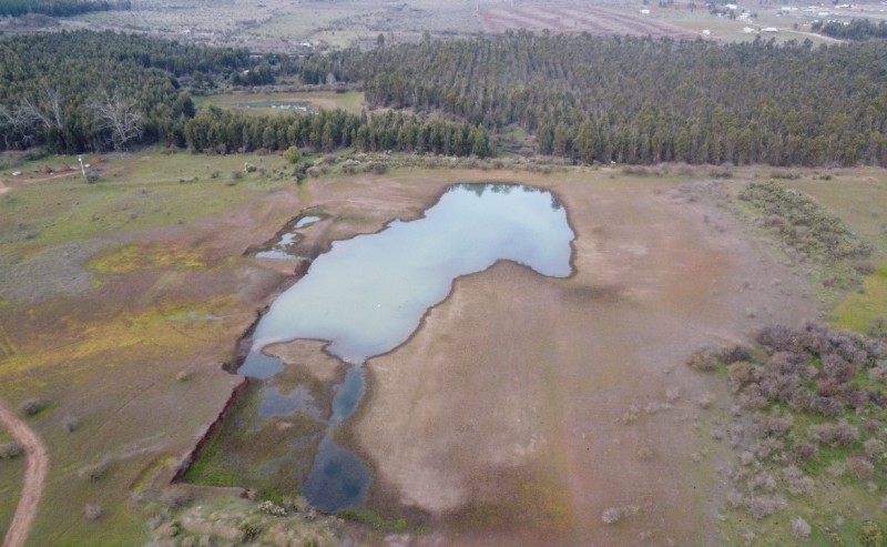 Campo Agricola Con Viñedos, Subdividido Cauquenes