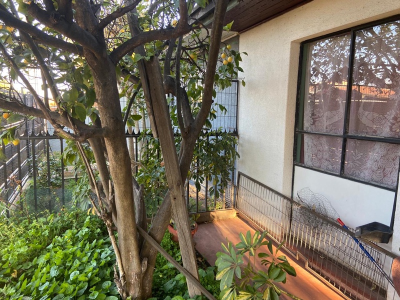 Oportunidad Única, Casa en Venta Centro Ciudad