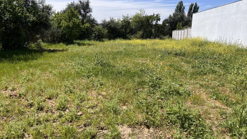 Lote Urbano Calle Membrillar