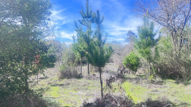 Parcela de 7 Ha Con Casa, Maravilloso Entorno Natural