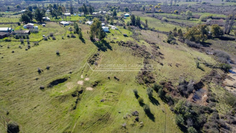 Terreno Agrícola en Coronel de Maule