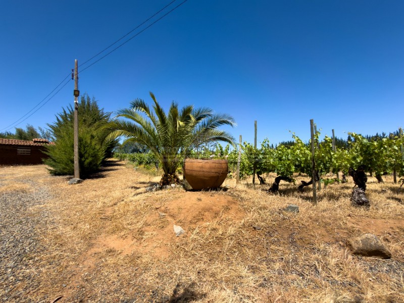 Casa en Arriendo en la Higuera, Cauquenes