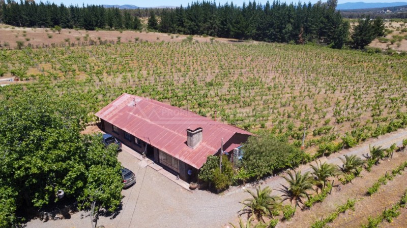 Casa en Arriendo en la Higuera, Cauquenes