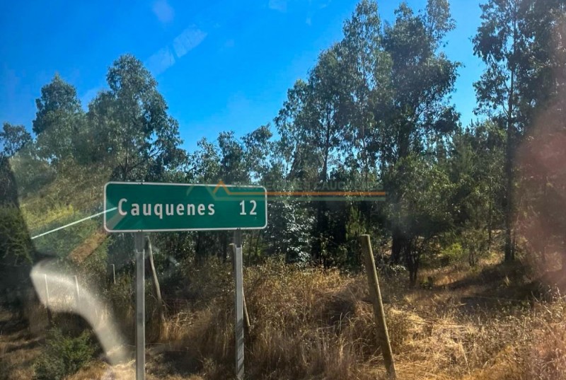 Campo de 36,5 Ha, Camino A Molco