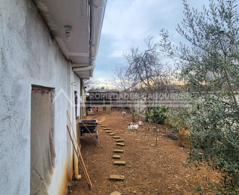 Casa en Venta – A Pasos del Centro de Cauquenes