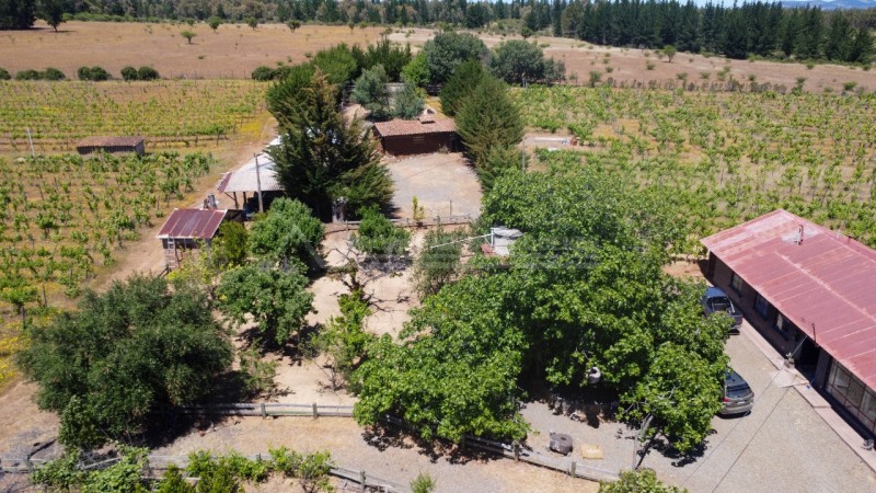 Casa en Arriendo en la Higuera, Cauquenes