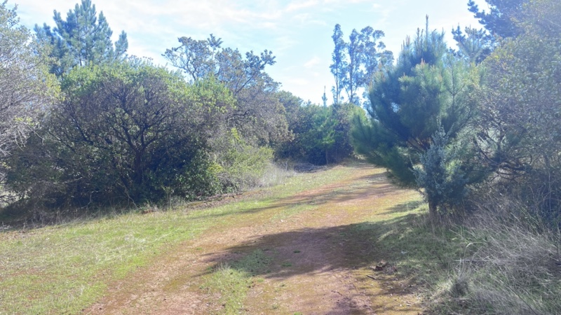 Parcela de 7 Ha Con Casa, Maravilloso Entorno Natural