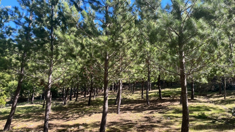 Parcela de 7 Ha Con Casa, Maravilloso Entorno Natural