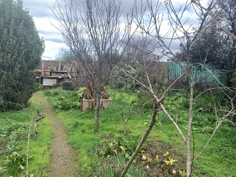 Gran Terreno Con Casa, A Pasos del Nuevo Hospital