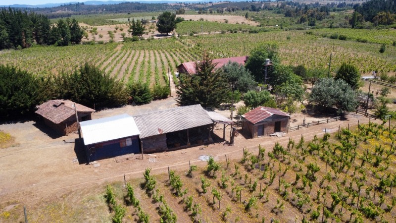 Casa en Arriendo en la Higuera, Cauquenes