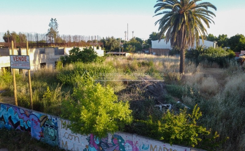 Sitio en Chacabuco, Ideal para Inversionistas