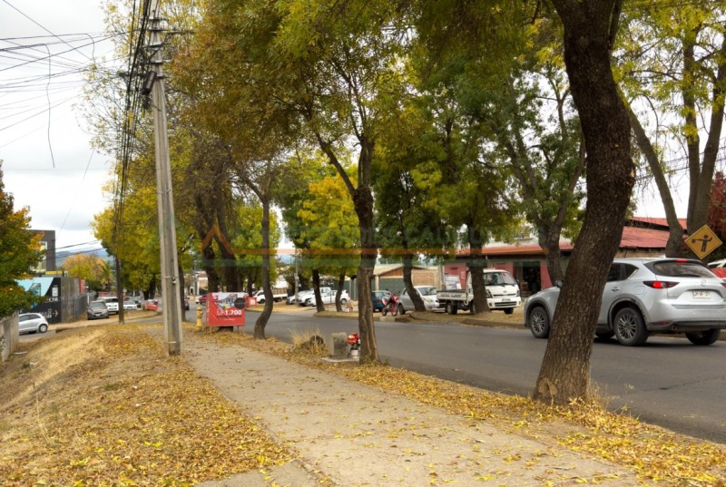 Lindo Departamento en Avenida Doctor Meza