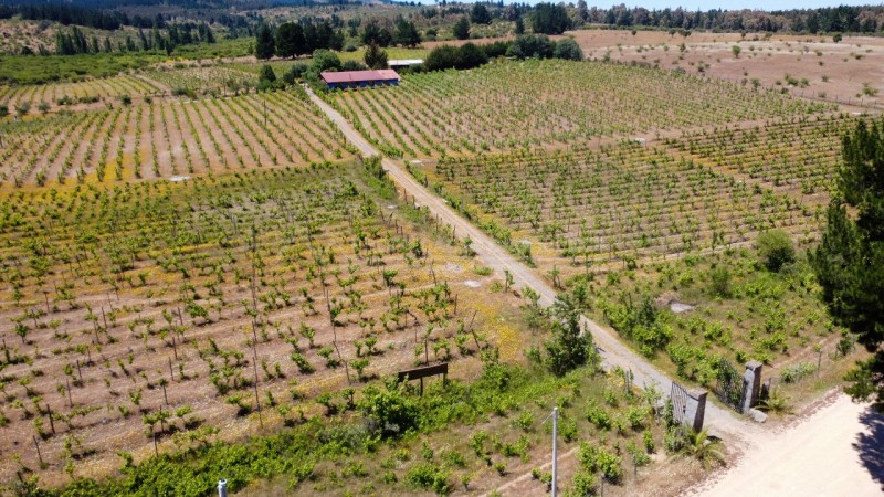 Casa en Arriendo en la Higuera, Cauquenes