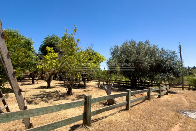 Precioso Campo Con Casa en la Higuera, Cauquenes