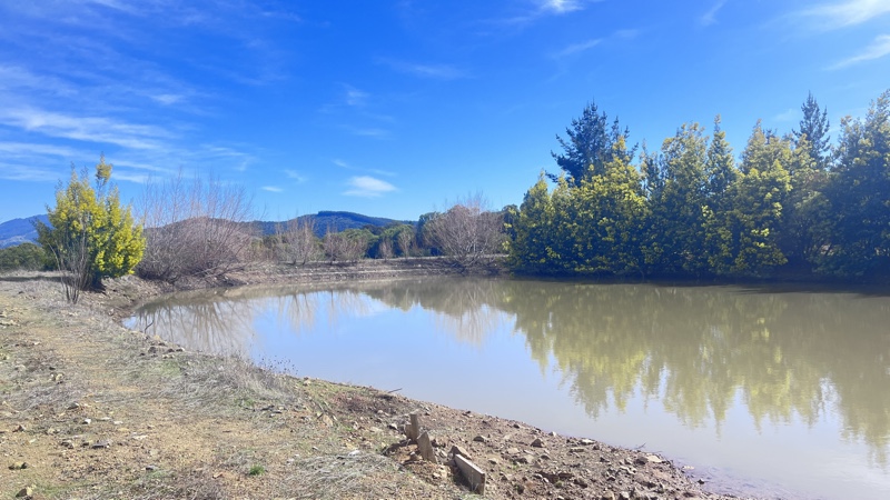 Parcela de 7 Ha Con Casa, Maravilloso Entorno Natural