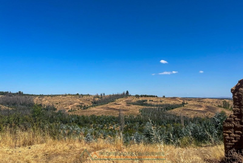 Campo de 36,5 Ha, Camino A Molco