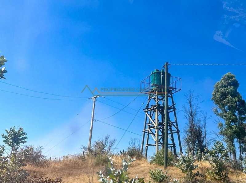 Campo de 36,5 Ha, Camino A Molco