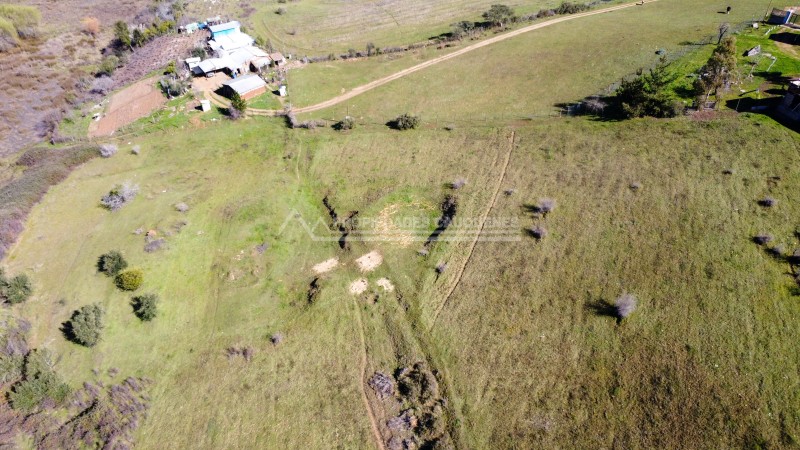 Terreno Agrícola en Coronel de Maule