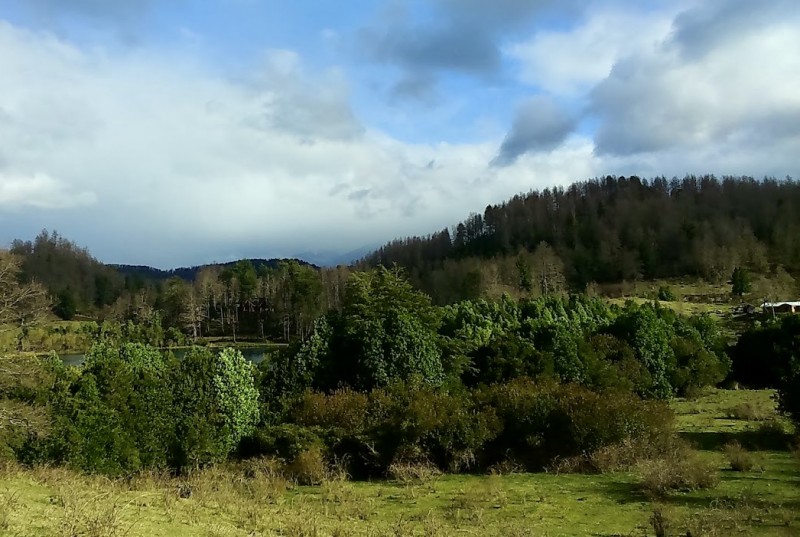 Se Vende Parcela 4.9 Hectáreas / Laguna San Luis