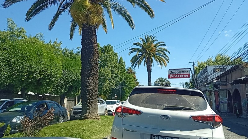 Terreno Comercial 33.000 M² en Pleno Centro de San Javier /