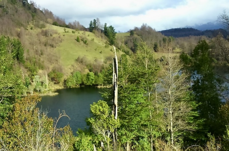 Se Vende Parcela 4.9 Hectáreas / Laguna San Luis