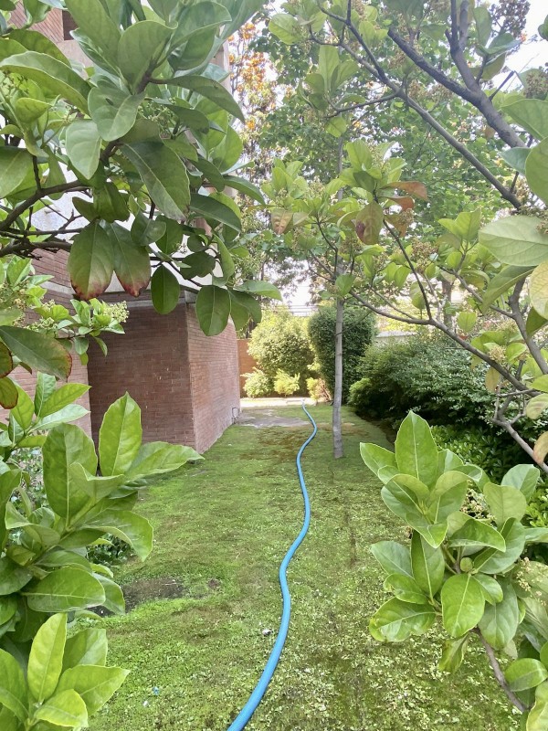 Amplio y Luminoso Departamento 4D 3B 1E + B Vista Despejada.