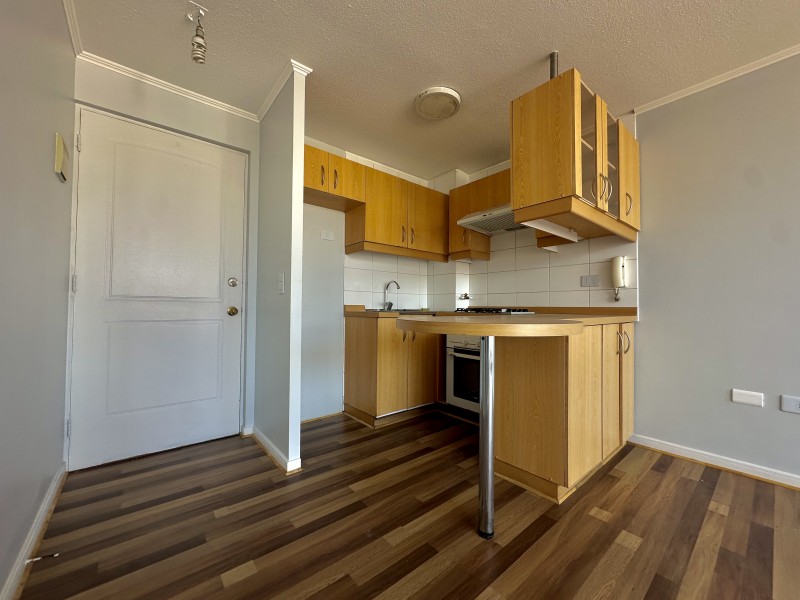 Semi Nuevo Vista Despejada 1D1B+Est / Metro U. de Chile