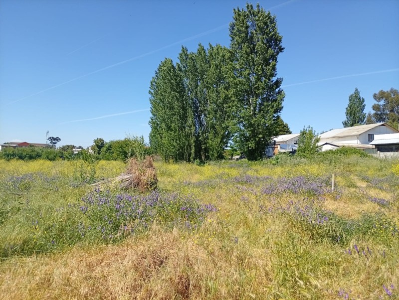 Terreno Comercial 33.000 M² en Pleno Centro de San Javier /