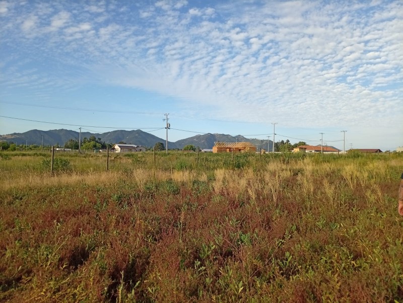 Exclusivo Terreno 5.000 M² – el Plumero (Condominio)