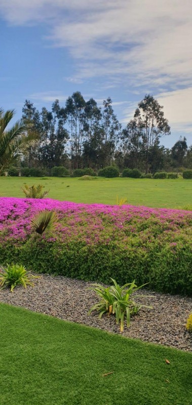 Se Vende Parcela Con Casa Amoblada 3D 2B Tunquén