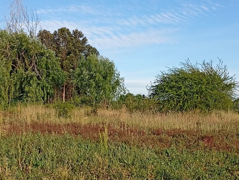 Exclusivo Terreno 5.000 M² – el Plumero (Condominio)