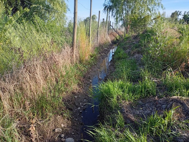 Exclusivo Terreno 5.000 M² – el Plumero (Condominio)