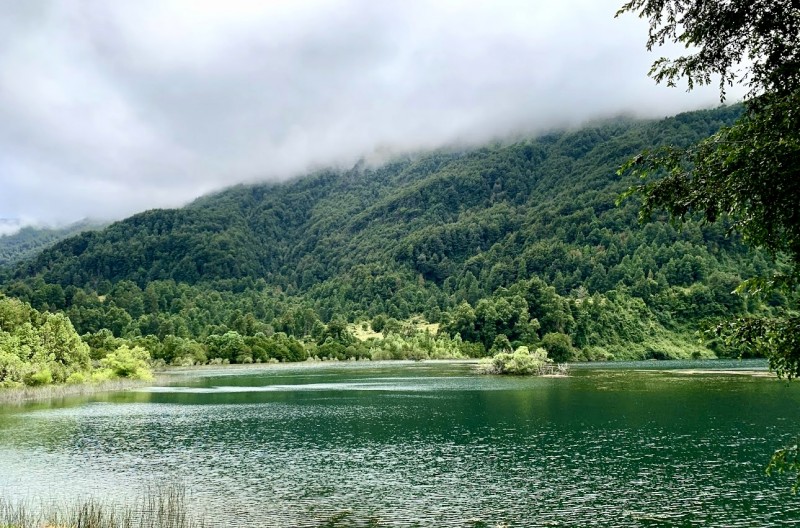 Se Vende Parcela 4.9 Hectáreas / Laguna San Luis